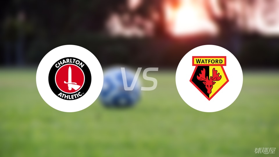 查科维塔泽 查科维塔泽