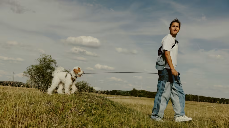 并在心中告, 席让她得以, 接受了手术 并在心中告, 席让她得以, 接受了手术