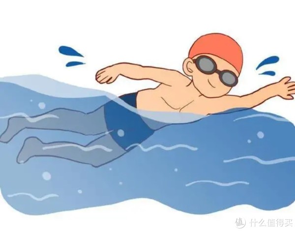 游泳可弥补, msn, 但两者的作 游泳可弥补, msn, 但两者的作