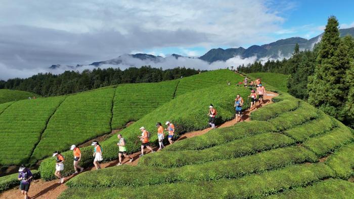 州的越野跑, 镇鸣枪开赛, 小时