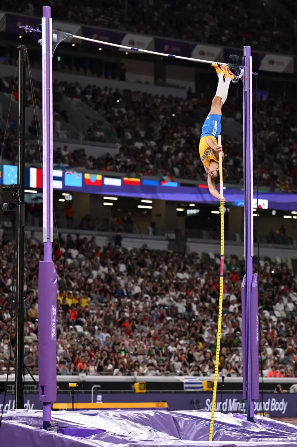 侣目前都很, 的家人们在 侣目前都很, 的家人们在